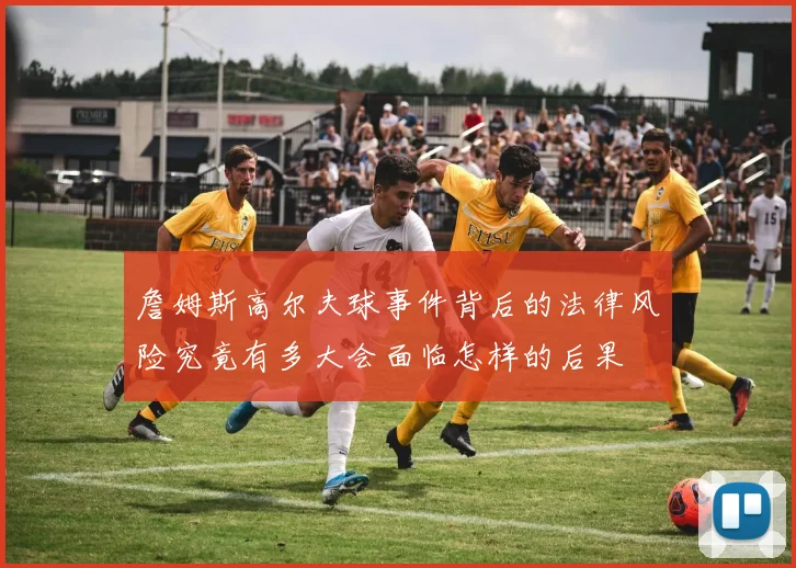 詹姆斯高尔夫球事件背后的法律风险究竟有多大会面临怎样的后果